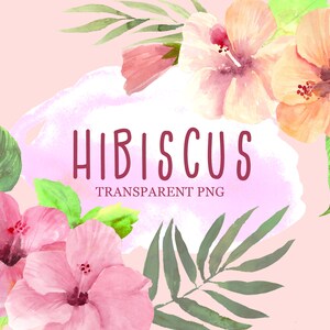 Hibisicus Blumen Clipart, tropische Blumen Sommer Aquarell png, direkter Download digitale Datei