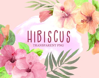 Hibisicus Blumen Clipart, tropische Blumen Sommer Aquarell png, direkter Download digitale Datei