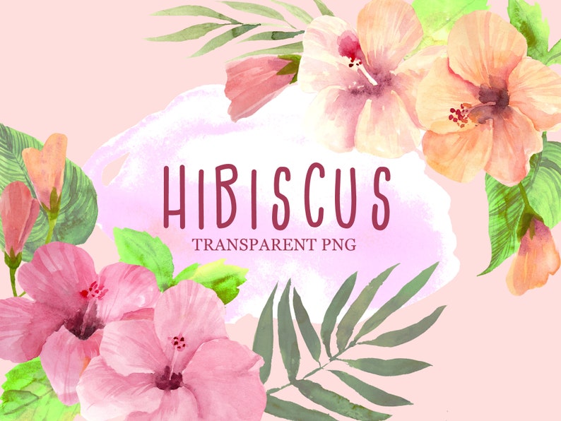 Hibisicus flower clipart instant download digital file tropical floral summer watercolor png