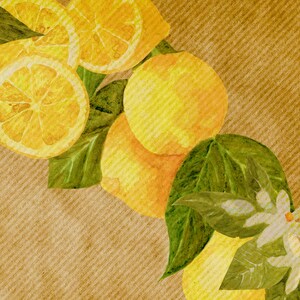 Yellow Lemon Frames and Borders Clipart, botanical citrus watercolor, wedding invitation graphics image 4