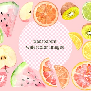 Fruit Slices illustration, watercolor png instant download, citrus orange kiwi grapefruit watermelon stickers tropical image 2