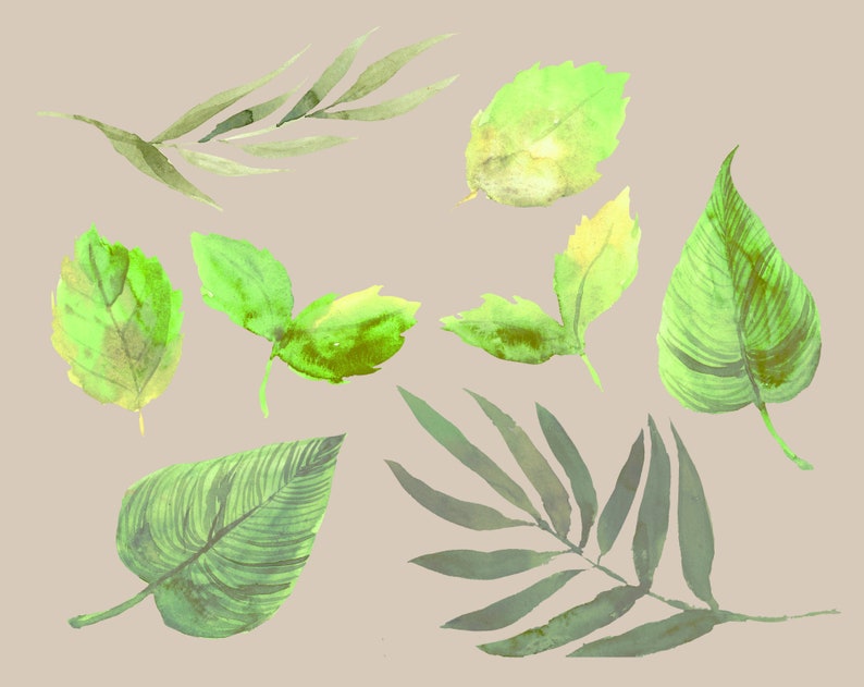Hibisicus flower clipart instant download digital file tropical floral summer watercolor png