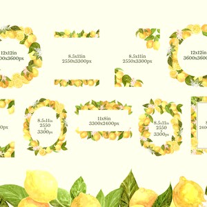 Yellow Lemon Frames and Borders Clipart, botanical citrus watercolor, wedding invitation graphics image 2