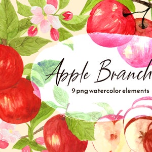 Clipart botânico em aquarela de ramo de maçã vermelha, PNG transparente, ilustrações de frutas