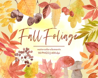 Fall Leaves Foliage Watercolor PNG, Autumn Botanical Art, Instant download, scrapbooking images