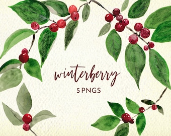 May include: Watercolor painting of a winterberry branch with red berries and green leaves. The text "winterberry" and "5 PNGs" is written below the branch.