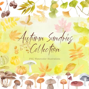 Autumn plants and gourds watercolor bundle, fall leaves and mushrooms clipart, png foliage