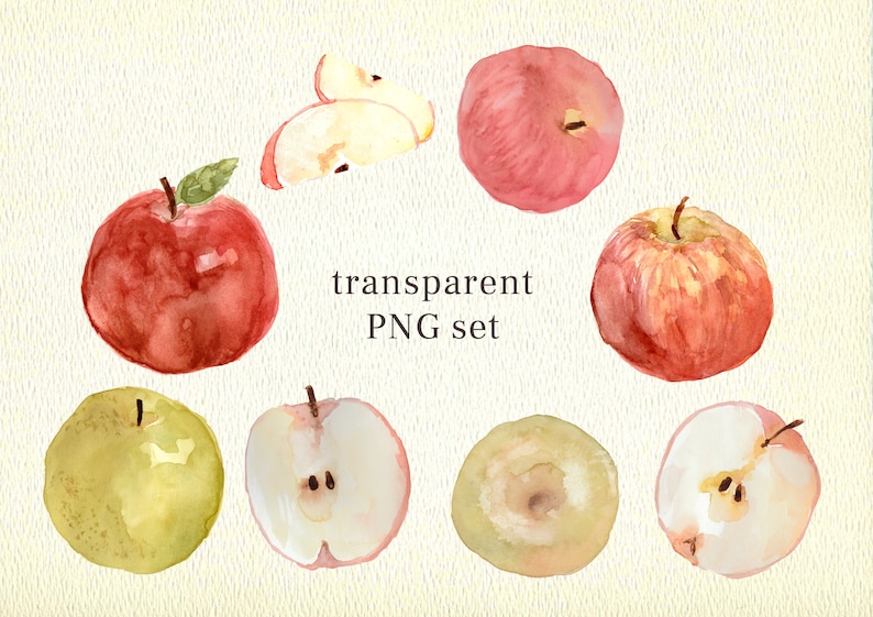 Fragrant Apple, PNG Watercolor Clipart, fruit handpainted instant download image 2