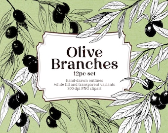 Olive Branches Outline, greek olive, hand drawn botanical illustration, upscale line drawing, business commercial use
