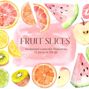 Fruit Slices illustration, watercolor png instant download, citrus orange kiwi grapefruit watermelon stickers tropical image 1