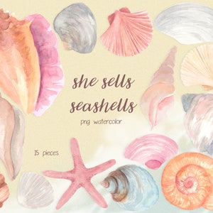 Op de afbeelding: Een set van 15 aquarel illustraties van schelpen in verschillende vormen, maten en kleuren. De schelpen zijn geschilderd in tinten roze, oranje, wit en blauw. De tekst "she sells seashells" is geschreven in cursief schrift onder de schelpen. De tekst "png watercolor" is geschreven onder het cursieve schrift. De tekst "15 pieces" is geschreven in de linkerbenedenhoek van de afbeelding.