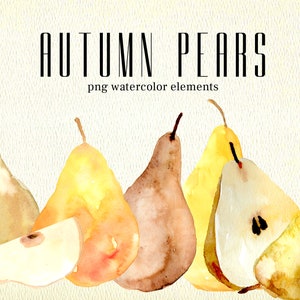 Autumn Pears, PNG Clipart, Watercolor Downloadable, fruit art, hand painted