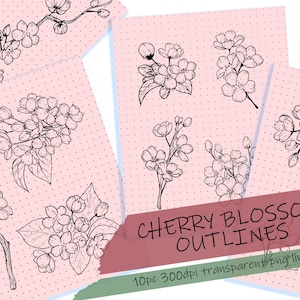 Kirschblüten Zweige Umrisse PNG Clipart, Sakura Doodle Art