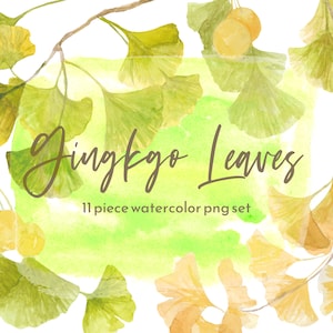 Gingkgo Fall Leaves Watercolor PNG, Autumn Nature, Branches, Botanical Art, Instant Download scrapbooking