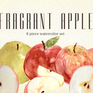 Fragrant Apple, PNG Watercolor Clipart, fruit handpainted instant download image 1