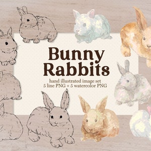 Bunny Rabbit Watercolor Clipart, Hand Painted Easter Bunny