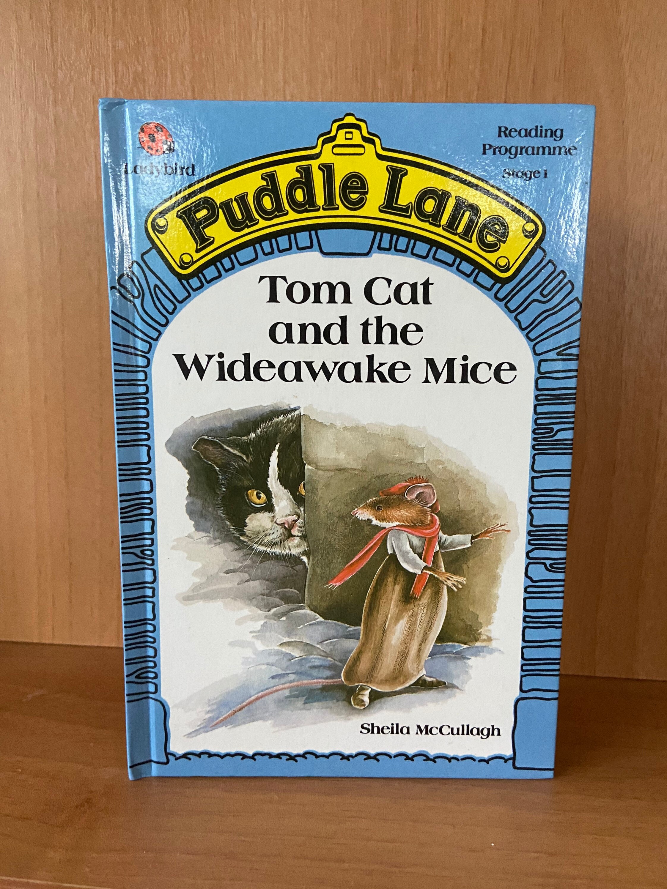 ビンテージ レディバード パドル レーン 児童書 - トム キャットと