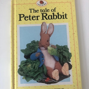 Tale of Peter Rabbit Ladybird - Etsy UK