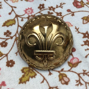 Vintage gold toned metal Fleur De Lis DILL button. 24mm.