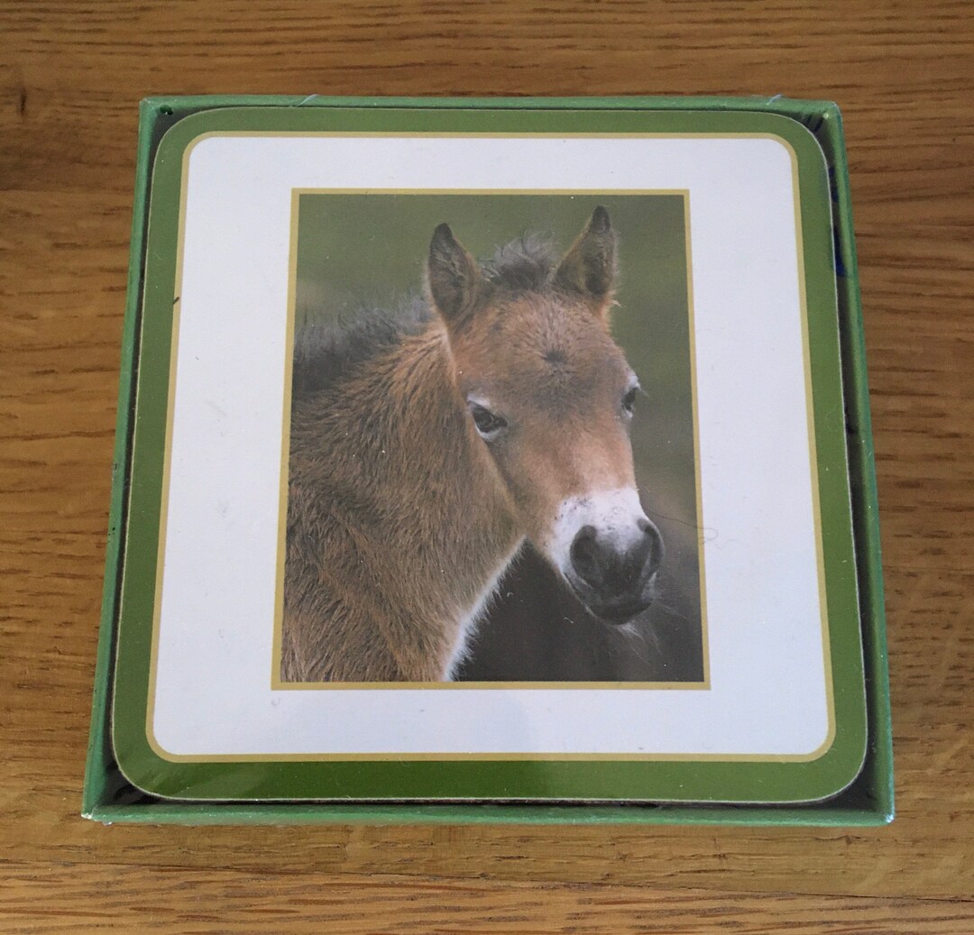 Vintage Collectable Classic Coasters par Faithful Friends. Nouveau et ...