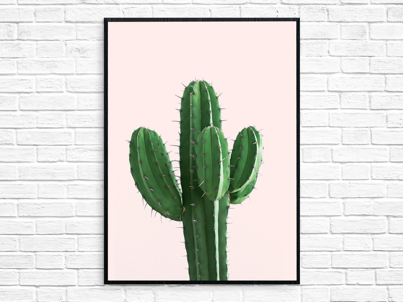 Cactus Print Wall Art Wall Decor Etsy
