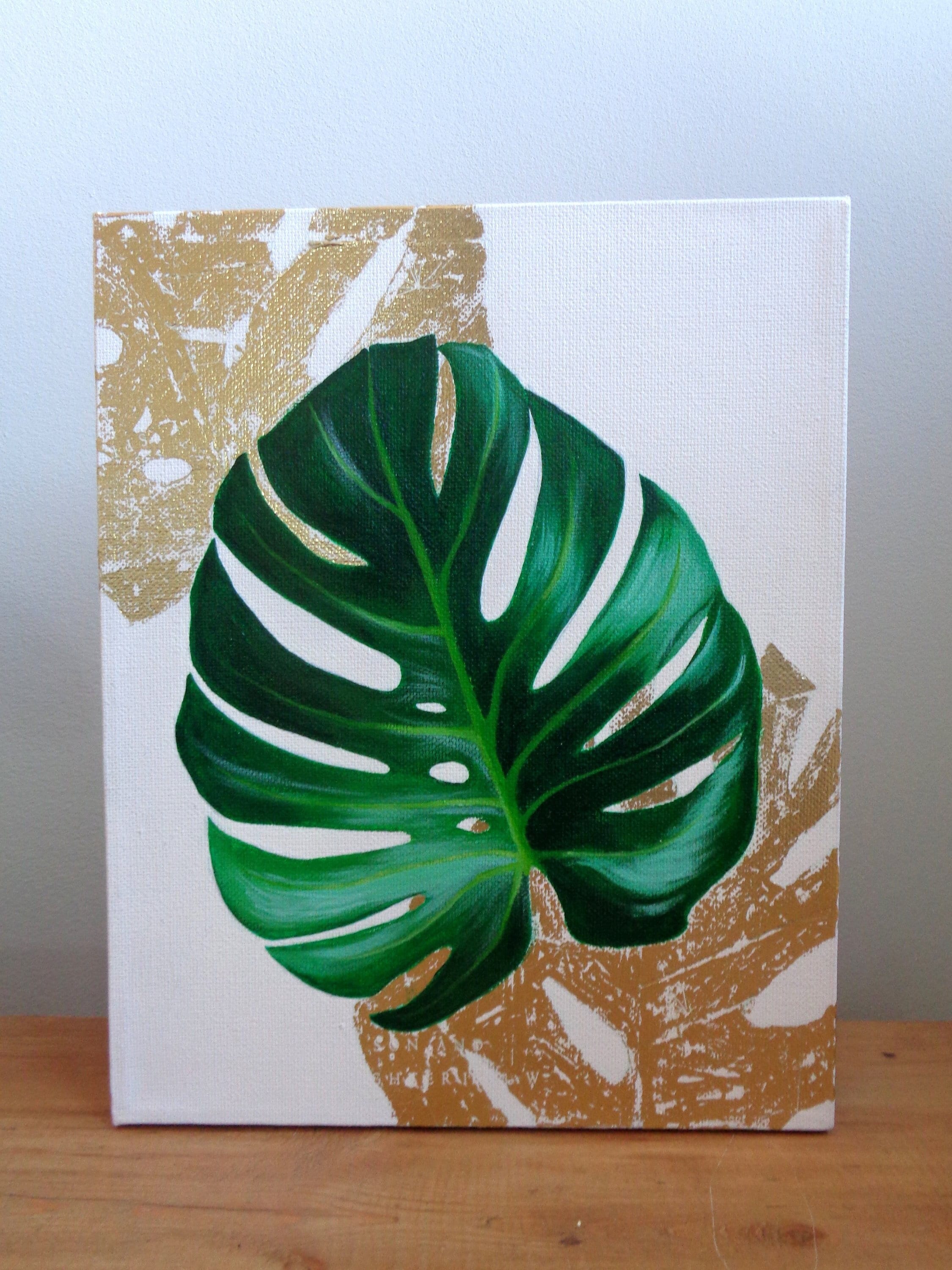 trifasciata plant Yellow Striped Snake Plant