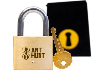 Ant Hunt
