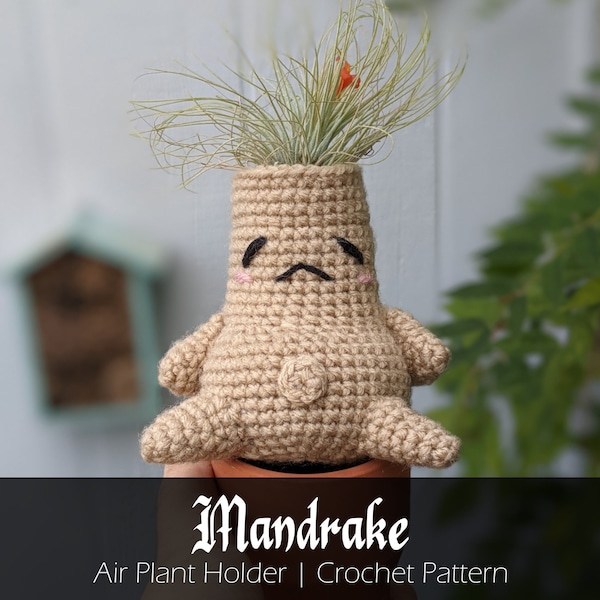 Mandrake Air Plant Holder - Crochet Pattern - Digital File Only