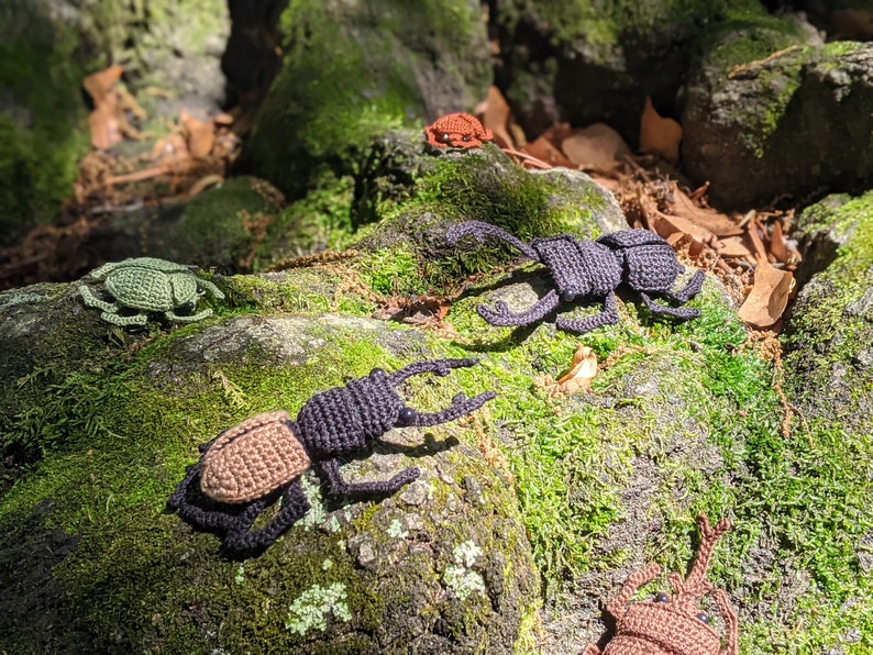 Amigurumi Beetle  Crochet Pattern Combo Pack image 6