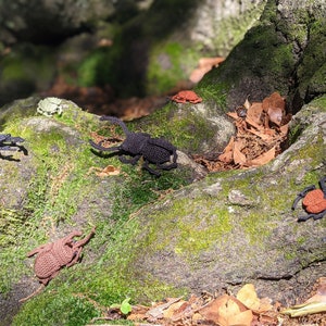 Amigurumi Beetle  Crochet Pattern Combo Pack image 2