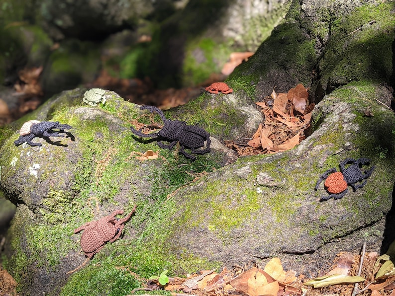 Amigurumi Beetle  Crochet Pattern Combo Pack image 2