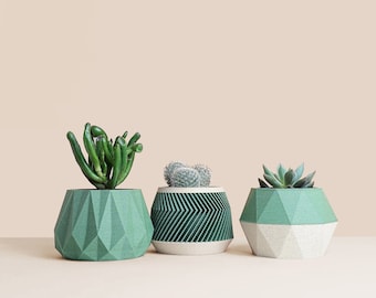 Set of 3D printed Cactus Planters, Succulent Planters, Mid Century Planters, Idea Gift for home