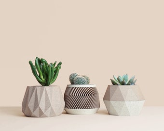 Lot de 3 cache-pots à plantes/ cactus en bois recyclé, minimalistes et modernes, cadeau original pour Noël