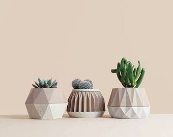 Set of 3 Succulent Planters , original gift for plant lovers , idea for apartment decor , Scandinavian Design