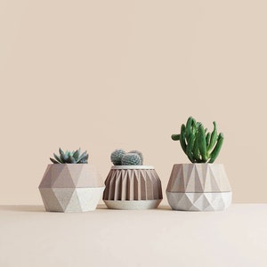 Set of 3 Small Succulent Plant Pots Original Planter Gift 