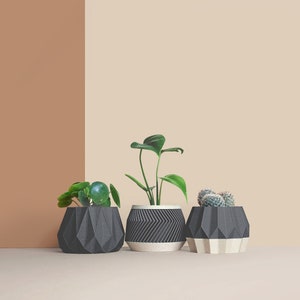 Set aus 3D-Pflanztöpfen aus Holz für den Innenbereich – Geschenk für Pflanzenliebhaber – Wohnungsdekoration – minimalistisches geometrisches Design