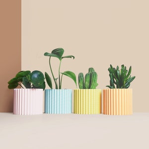 Grande fioriera in plastica riciclata per cactus e piante grasse, idea per l'arredamento di casa, design scandinavo, regalo per la casa