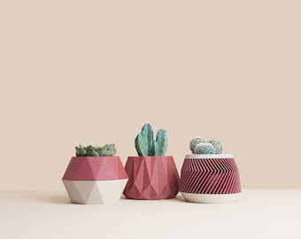 Set of 3D printed Cactus Planters, Succulent Planters, Mid Century Planters, Idea Gift for home