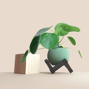 Pflanzgefäß aus recyceltem Holz mit Pflanzen-/Kaktusstütze, minimalistisch und modern, Heimdekoration, originelles Geschenk