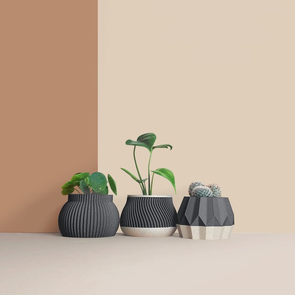 Set of 3D Wooden Indoor Plant Pots - Gift for Plant Lovers - Apartment Decoration - Minimalist Geometric Design