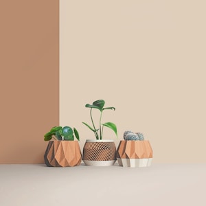 Set aus 3D-Pflanztöpfen aus Holz für den Innenbereich – Geschenk für Pflanzenliebhaber – Wohnungsdekoration – minimalistisches geometrisches Design