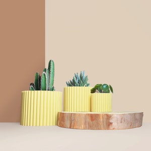 Planter Pot, 3D printed Cactus, Succulent Planters , Mid Century Planters , Idea Gift for home, home decor