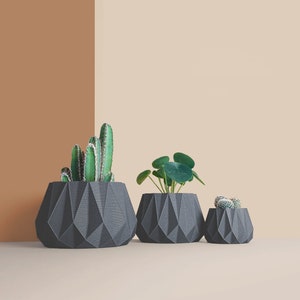 Peut inclure: Trois pots géométriques noirs avec différentes plantes. Le plus grand pot contient un cactus, le pot du milieu contient une plante feuillue et le plus petit pot contient un petit cactus.