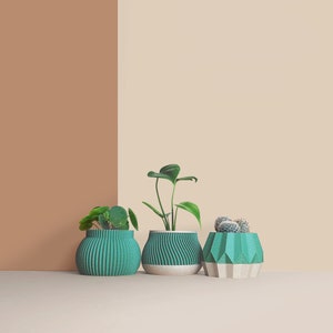 Set of 3D Wooden Indoor Plant Pots - Gift for Plant Lovers - Apartment Decoration - Minimalist Geometric Design