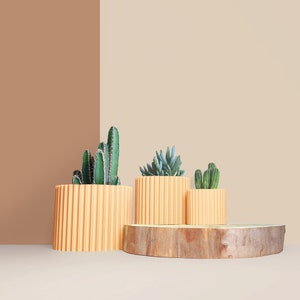 Planter Pot, 3D printed Cactus, Succulent Planters , Mid Century Planters , Idea Gift for home, home decor