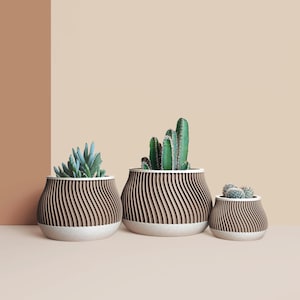 3D Printed Cactus, Succulent Planters, Interior Plant Pots, Mid Century Planters, Eco-Friendly Gift Idea for Home, Large Planter Pot