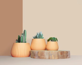 Planter Pot, 3D printed Cactus, Succulent Planters , Mid Century Planters , Idea Gift for home, home decor