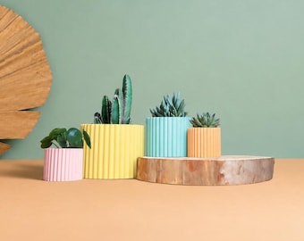 May include: Four cylindrical planters with a vertical ribbed texture in pastel pink, bright yellow, light blue, and soft orange. Each planter holds a small green succulent plant. The planters are arranged on a flat surface.