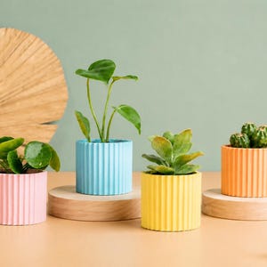 Stor kruka i återvunnen plast för kaktusar och suckulenter, heminredningsidé, skandinavisk design, present till hemmet