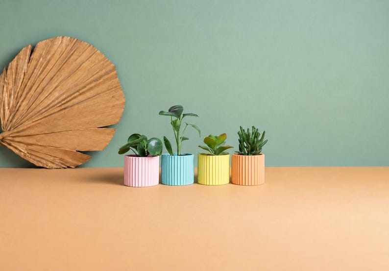 May include: Four small, cylindrical, ribbed planters in pastel pink, light blue, yellow, and peach, each containing a small green plant. A large, dried, fan-shaped palm leaf is positioned to the left of the colorful plant pots.